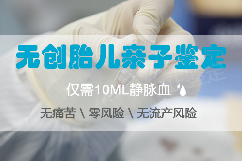 内蒙古父亲与胎儿如何办理亲子鉴定,内蒙古无创孕期亲子鉴定大概多少费用