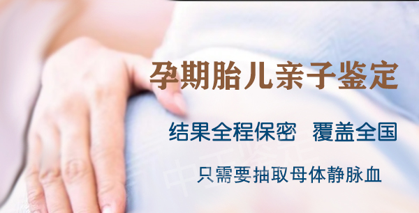 内蒙古区胎儿如何做DNA亲子鉴定,内蒙古区胎儿DNA亲子鉴定基本流程