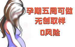 内蒙古如何做孕期亲子鉴定