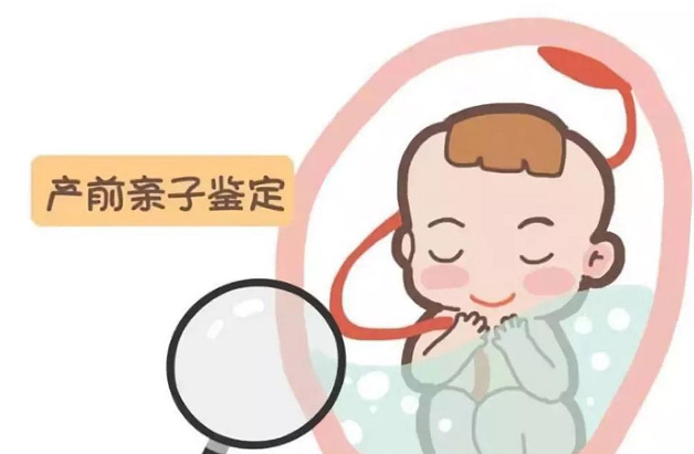 怀孕了内蒙古要如何办理孕期亲子鉴定,内蒙古办理孕期亲子鉴定结果准确吗 怀孕了内蒙古要如何办理孕期亲子鉴定,内蒙古办理孕期亲子鉴定结果准确吗