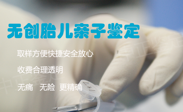 怀孕了怎么鉴定是谁的孩子[内蒙古],内蒙古无创产前亲子鉴定收费多少钱