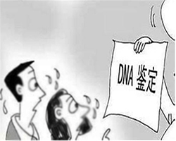 内蒙古落户口亲子鉴定到哪里,内蒙古落户口亲子鉴定需要多少费用 内蒙古落户口亲子鉴定到哪里,内蒙古落户口亲子鉴定需要多少费用